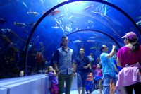 /album/aquarium-de-quebec/dsc04808-jpg/